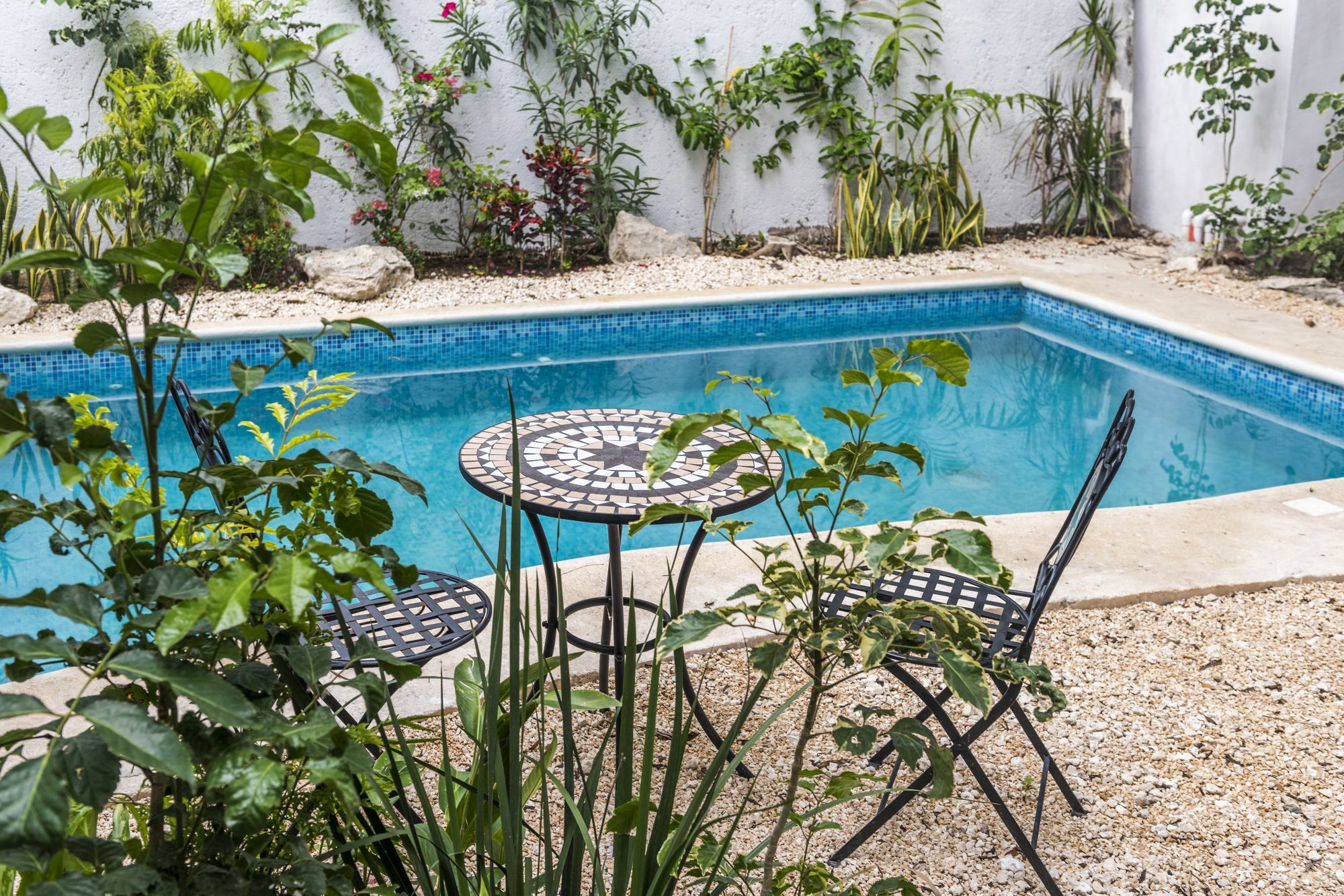 Villa Alejandra Hotel Boutique Плая-дель-Кармен Экстерьер фото